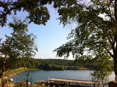 Bektasaga Koyu