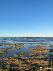 Mildura Wreck