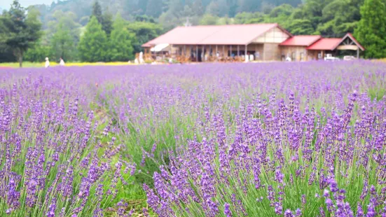 Menadoaoyama Resort Herb Garden