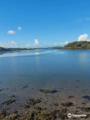 Clewbay Cruises