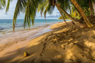 マンサニージョ