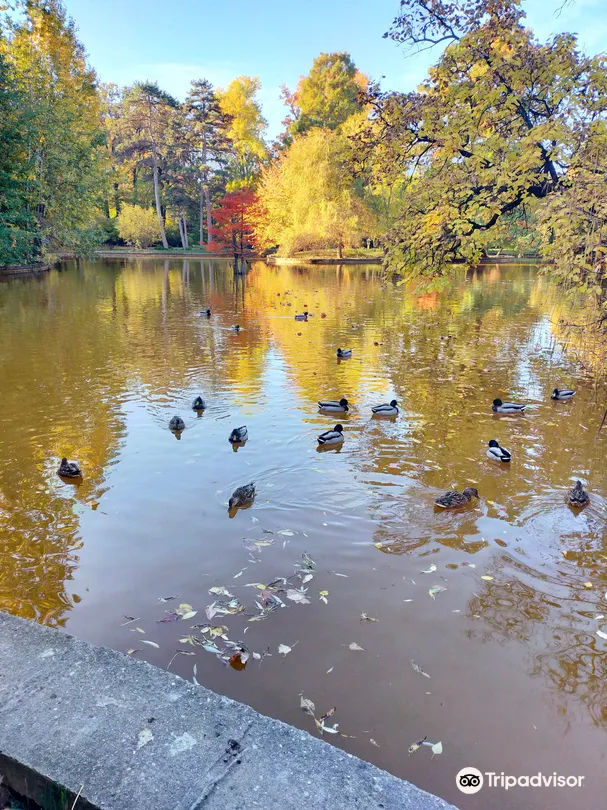 2_"Dimitrie Brândză" Botanical Garden