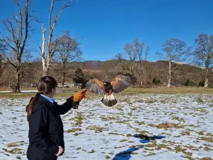 The Lake District Wildlife Park