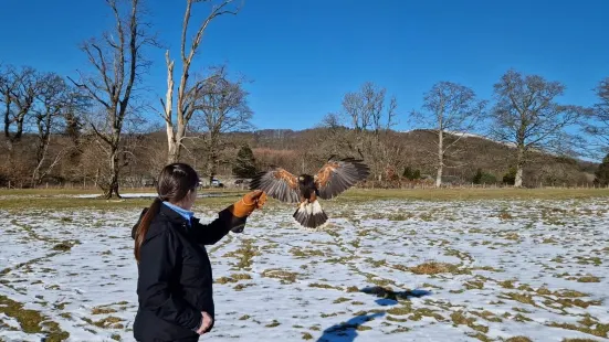 The Lake District Wildlife Park