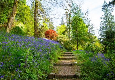 Ardkinglas Woodland Garden