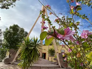 Plaza Miguel Hidalgo