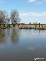 House of the Somme