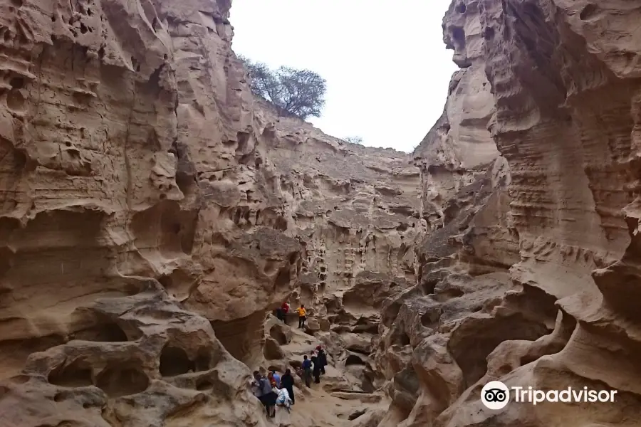 Chahkooh Canyon