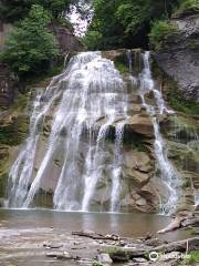 Delphi Falls County Park