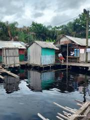 Nzulezo-Stilt Village Tour