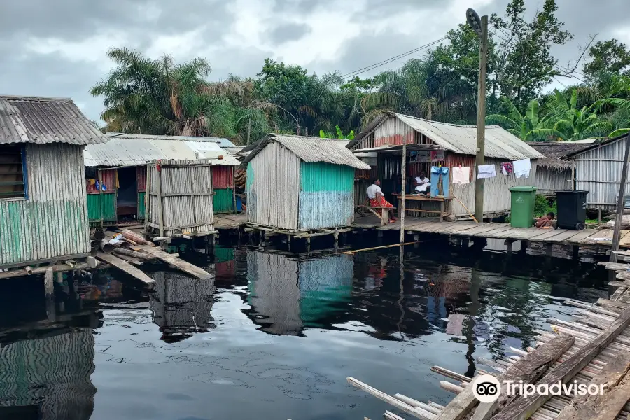 Nzulezo-Stilt Village Tour