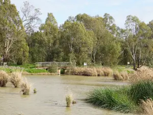 Narrandera Wetlands