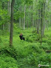 Adventureworks Wetland Zipline Park