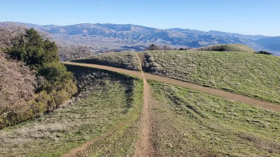 Pleasanton Ridge Regional Park