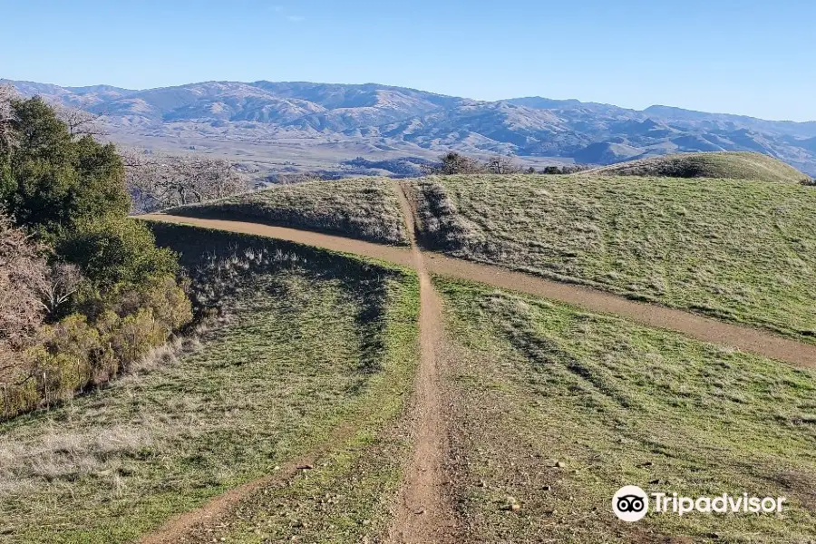 Pleasanton Ridge Regional Park