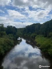 Severn Valley Country Park