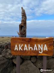 Ahu Akahanga