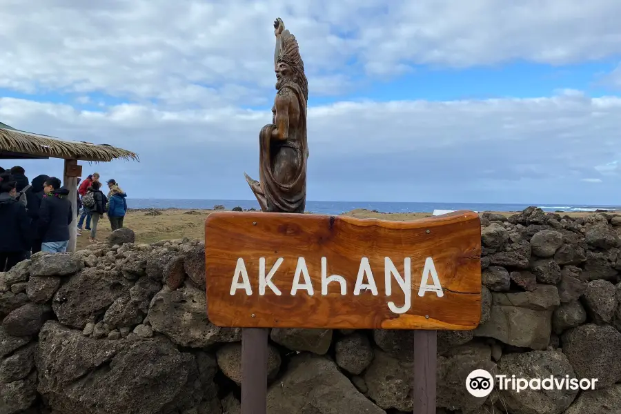 Ahu Akahanga