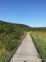 Onnenai Boardwalk