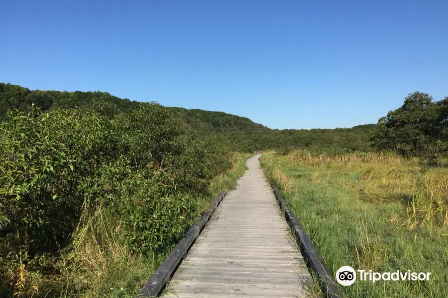 Onnenai Boardwalk