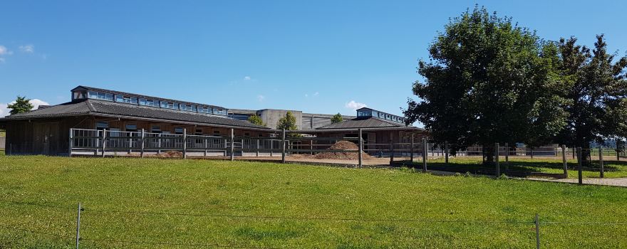 Fondation Pour le Cheval