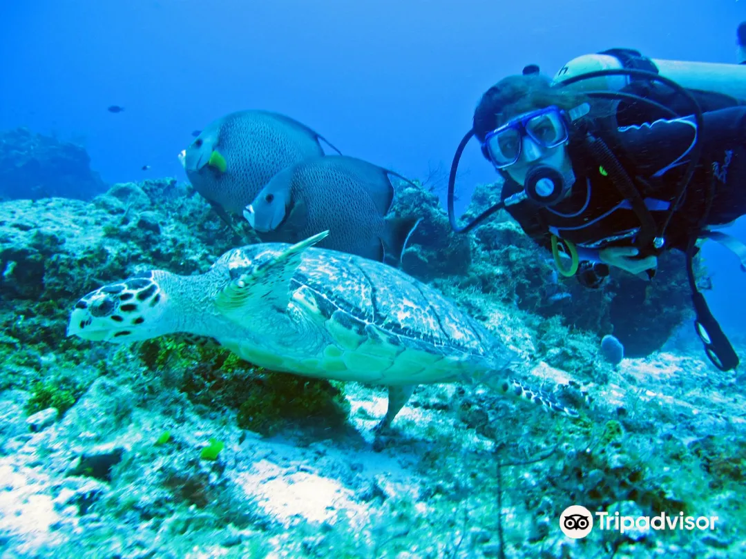 5_Cancun Scuba Center