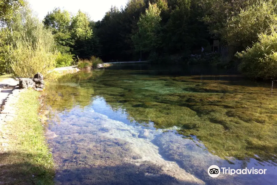 Parco Naturale la Sponga