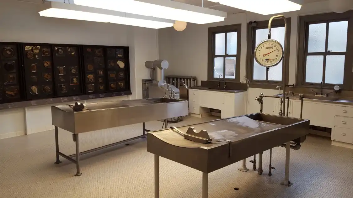 Hotels near Vancouver Police Museum & Archives