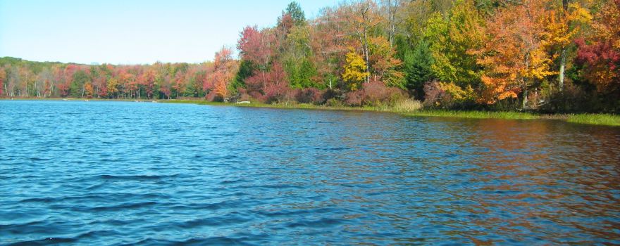 Greene Township
