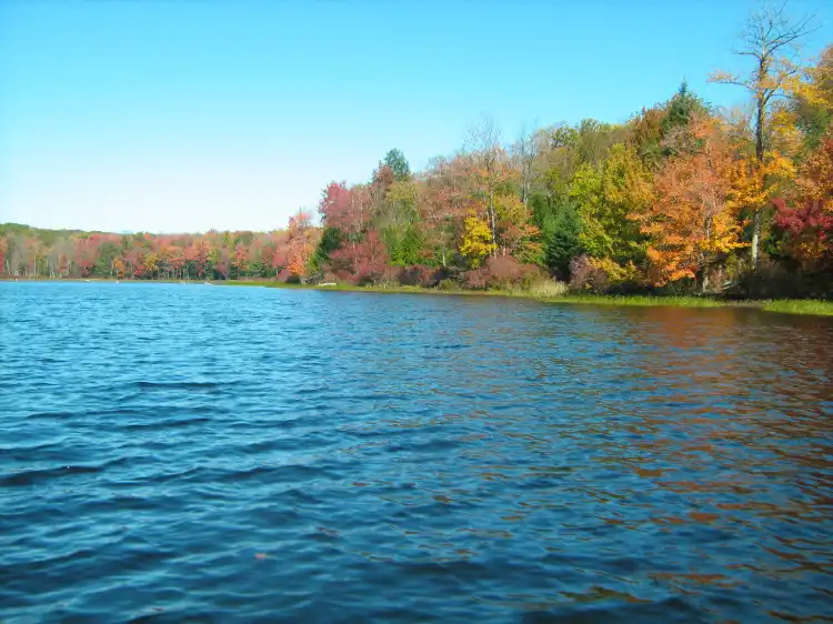 Greene Township