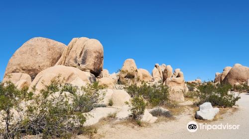 Joshua Tree National Park