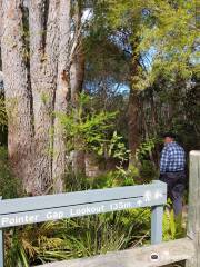 Pointer Gap Lookout