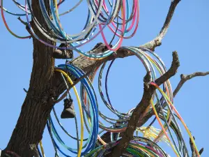 Amber, Iowa Hula Hoop Tree