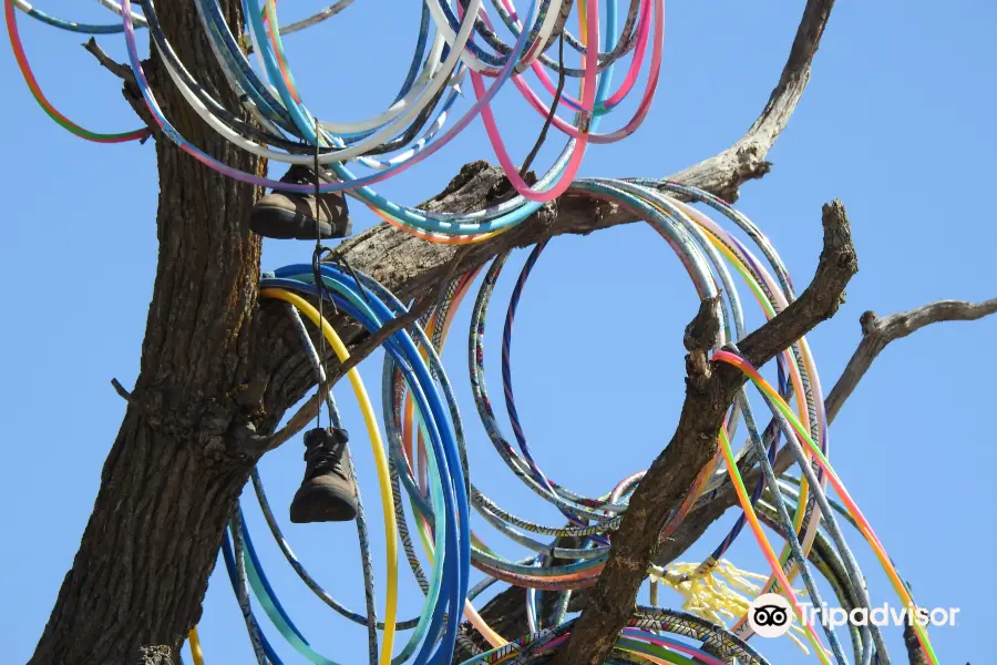 Amber, Iowa Hula Hoop Tree