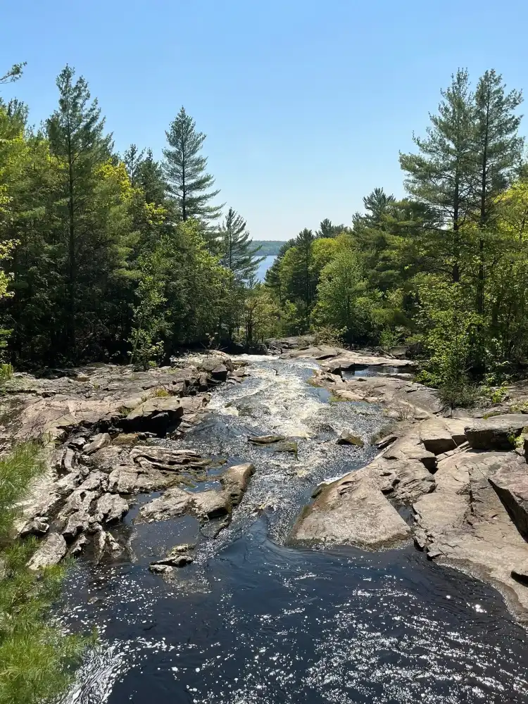 Hotel a Muskoka