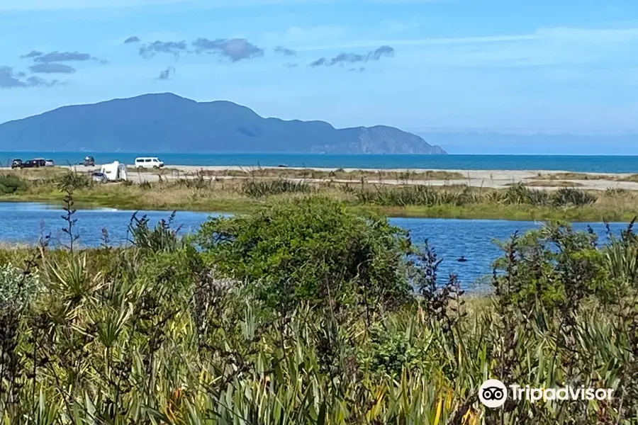 Otaki River Walks