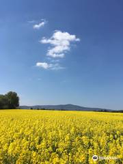 Aboretum Main-Taunus