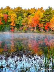 Eagle Lake Acadia National Park