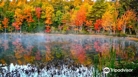 Eagle Lake Acadia National Park
