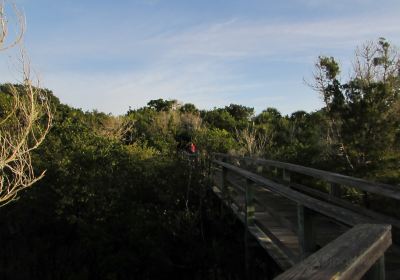 Betty Steflik Park