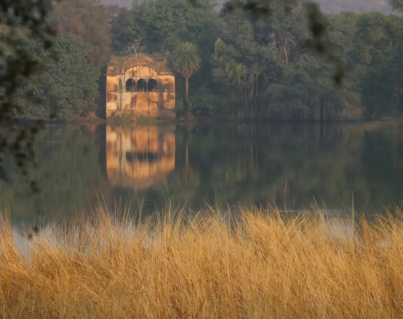 Hotels near Ranthambore Tiger Reserve