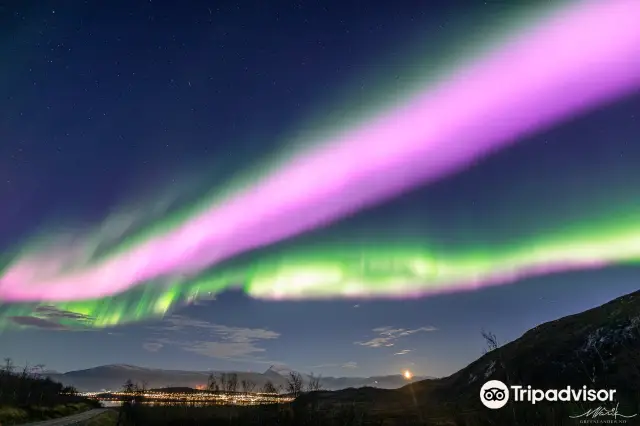 Northern Lights in Tromso