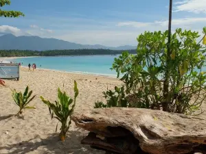 Amihan sa Dahican