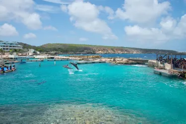 Dolphin Academy Curacao