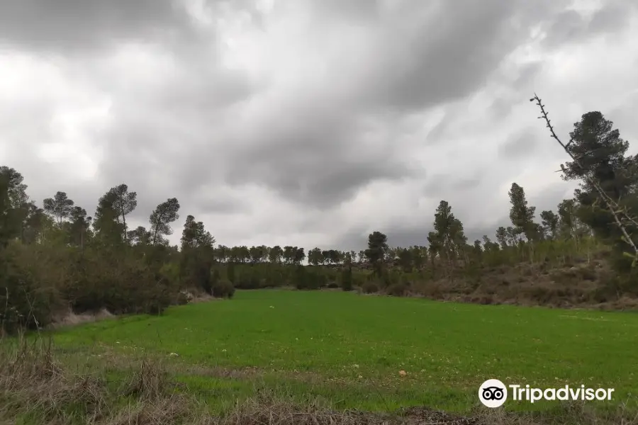 Tel Lachish