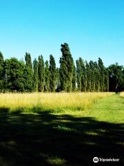 Parco del Cormor