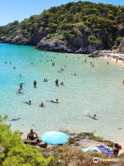 Cala delle arene