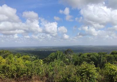 La Montagne des Singes