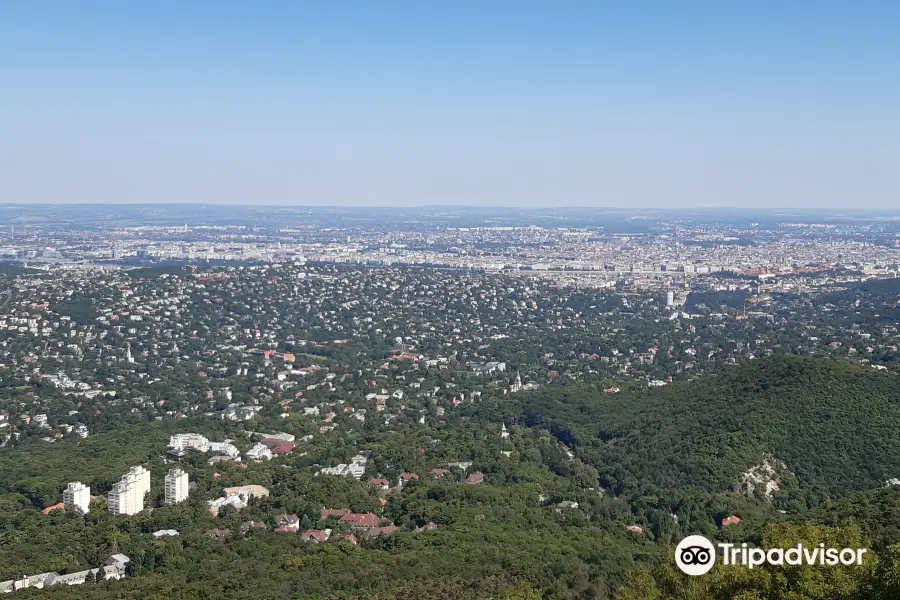 Elizabeth Lookout