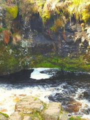 Linhope Spout Waterfall